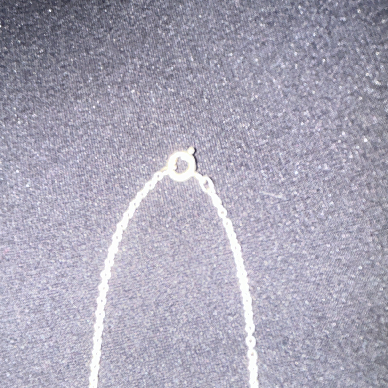 Silver Tone Metal Cable Chain Necklace Wing Charm Pendant Spring Ring Closure