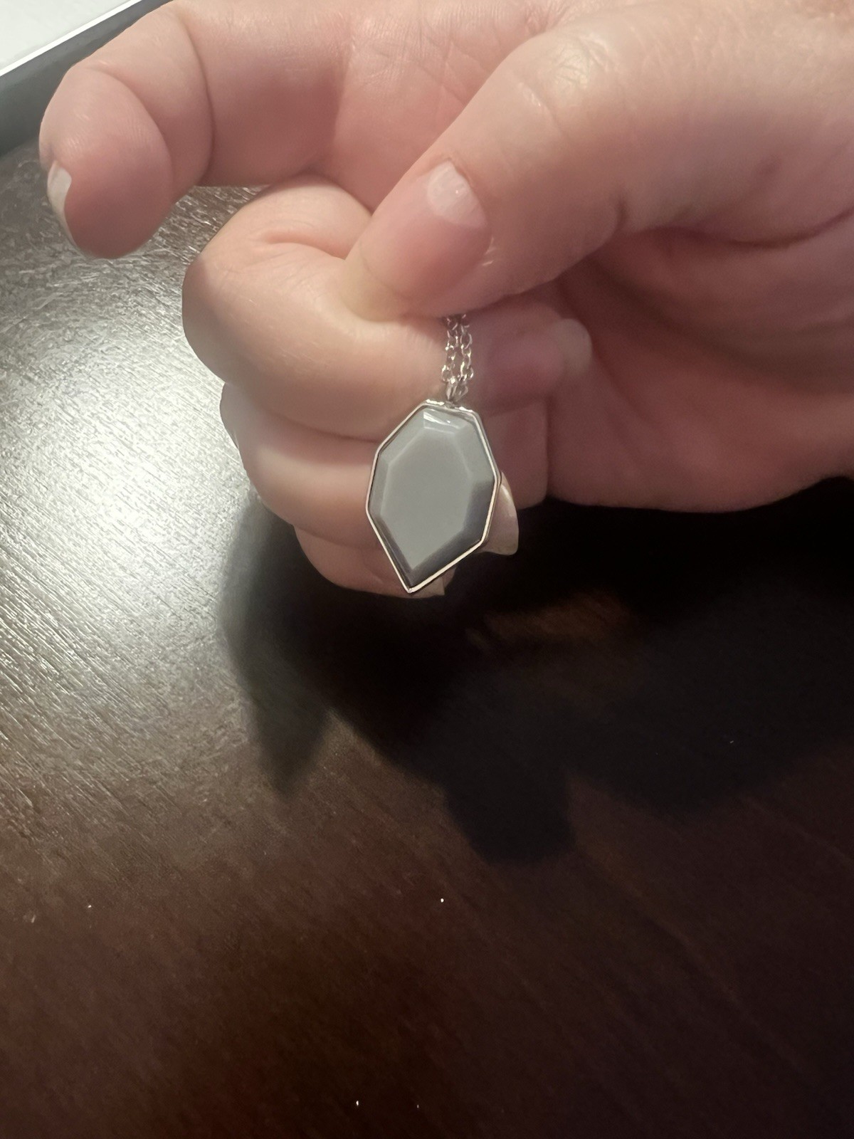 Premier Designs Sliver Lake Necklace Silver Tone