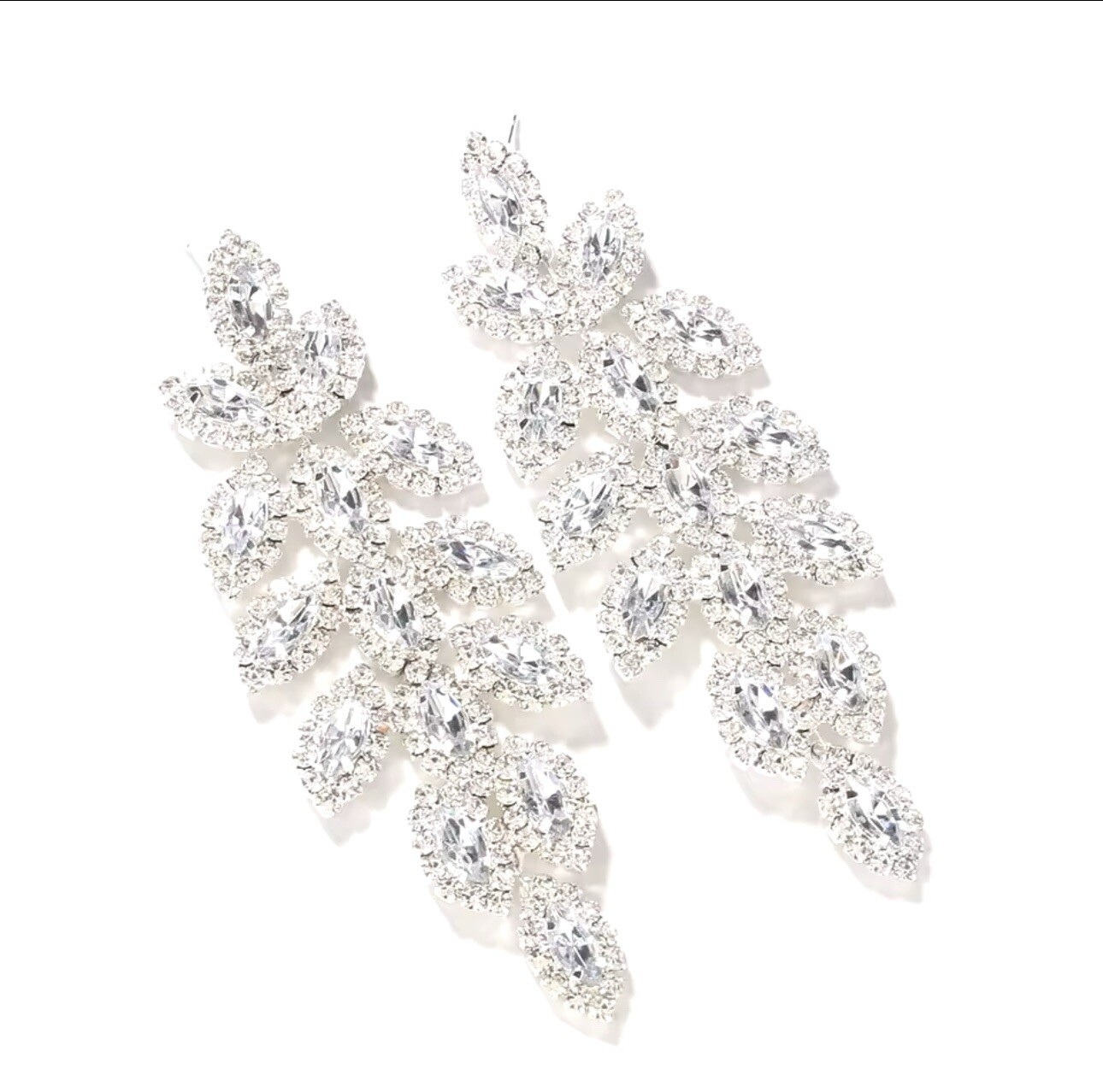 Fancy Long Earrings