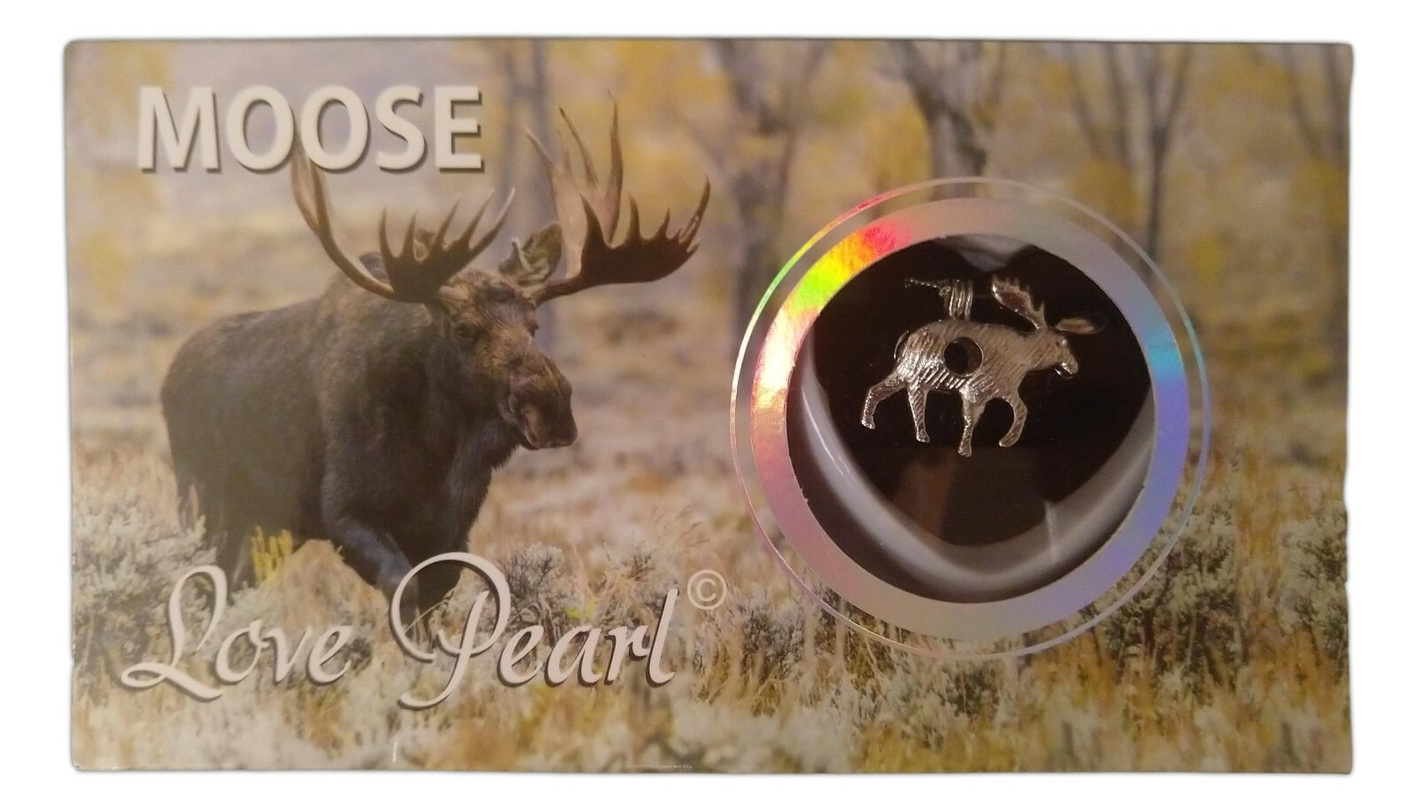 Love Pearl MOOSE Necklace Kit, Simulated Pearl in an Oyster