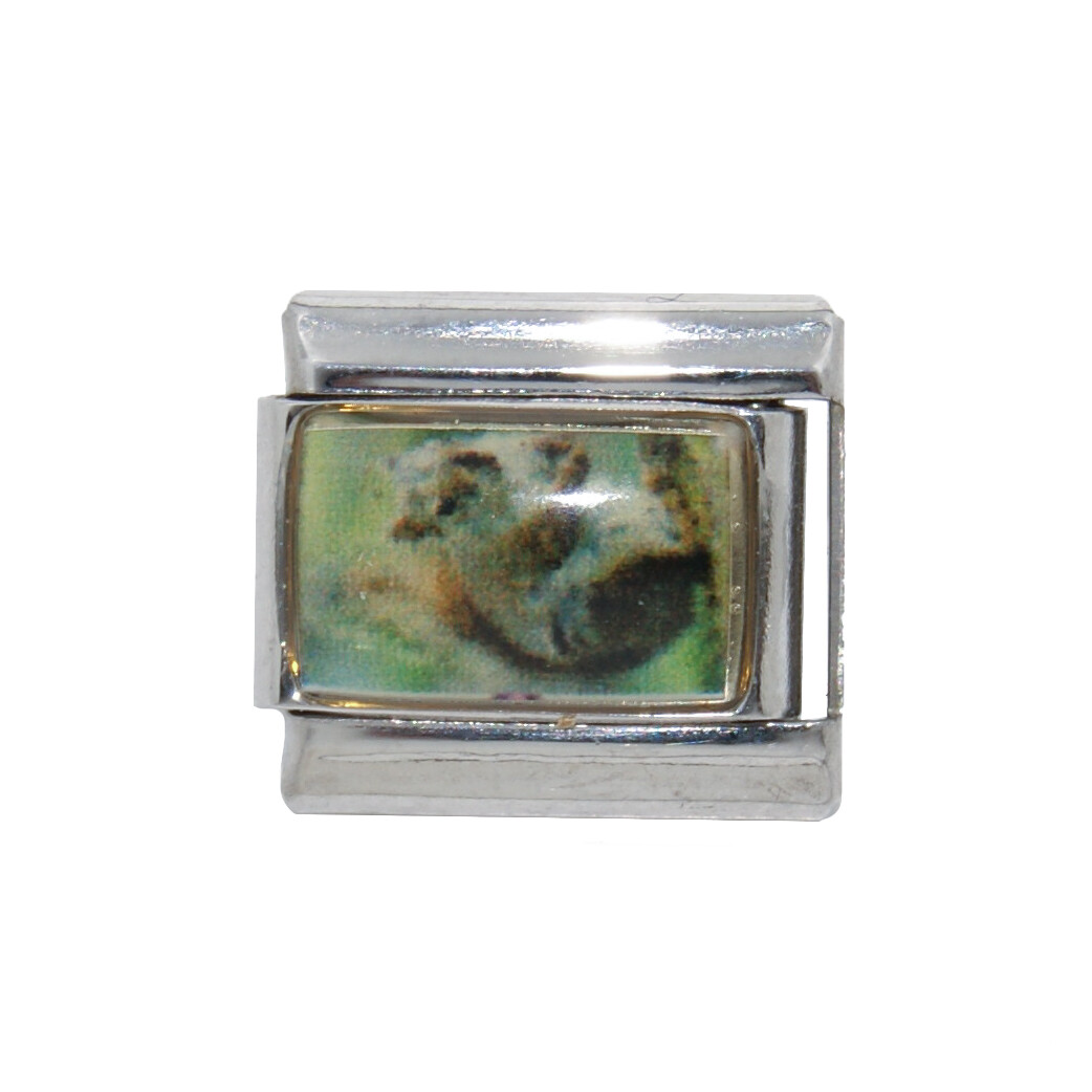 Squirrel photo Italian Charm – fits 9mm classic Italian charm bracelets