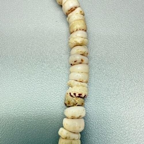 Vintage Tiger Puka Shell Choker Necklace 16″ 1970’s Hawaiian 24g