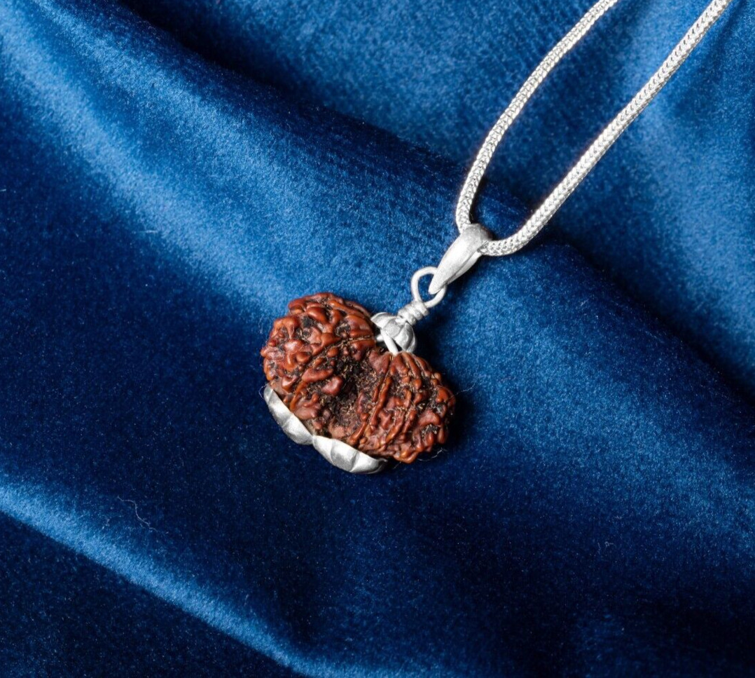 Garbh Gauri Rudraksha 925 Silver Pendant | Spiritual Sacred Rudraksha Necklace