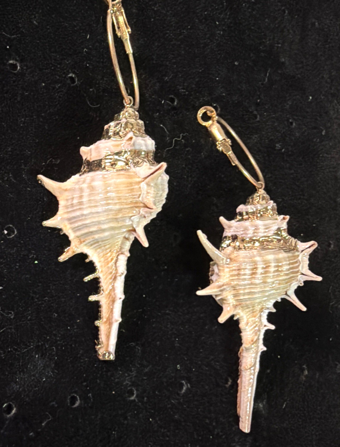 Conch Shell Hoop Dangle Gold Tone Earrings Pierced 3.5 In. Gold Accent