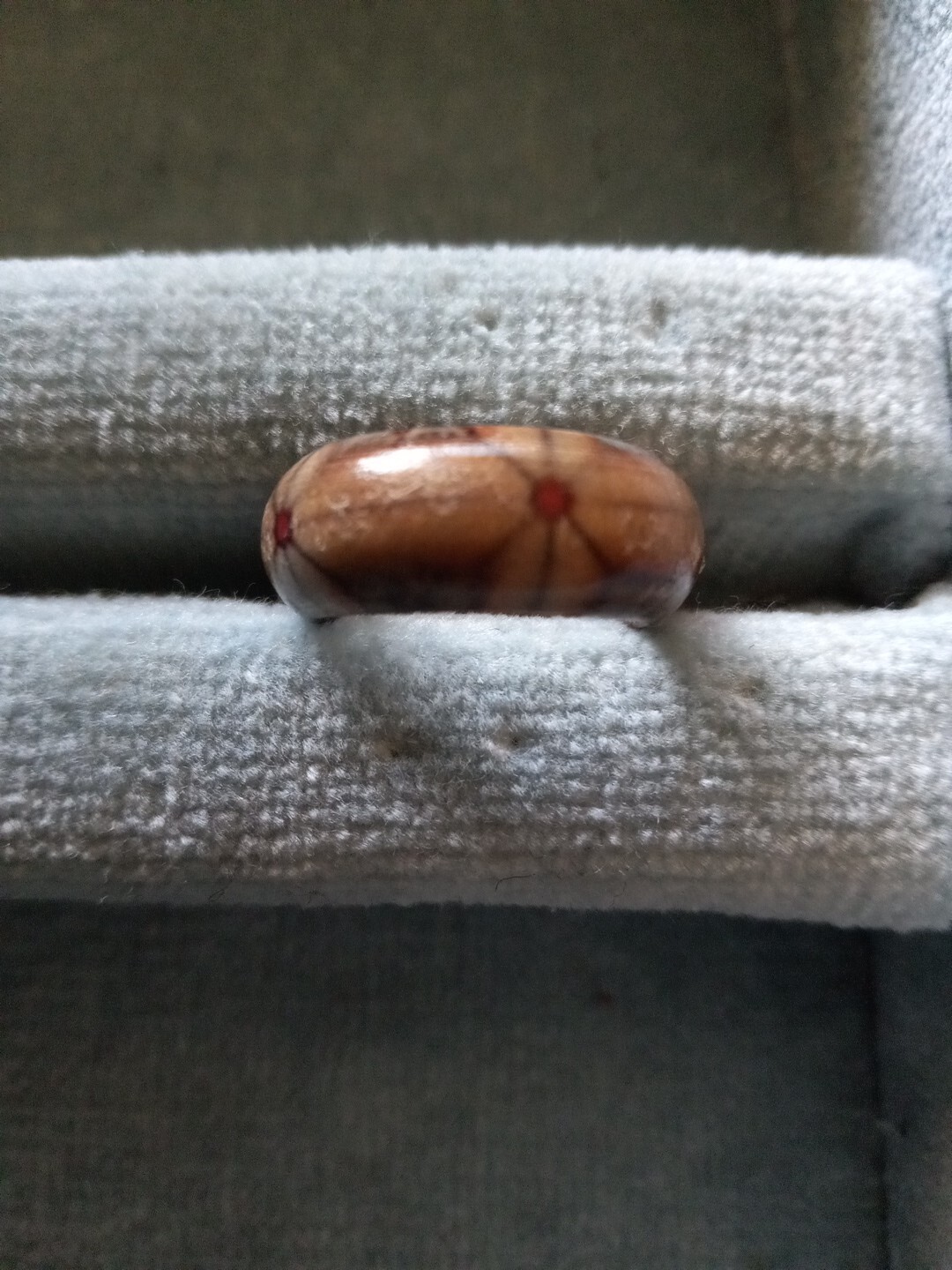 POLISHED EXOTIC HARDWOOD RING. SIZE 7