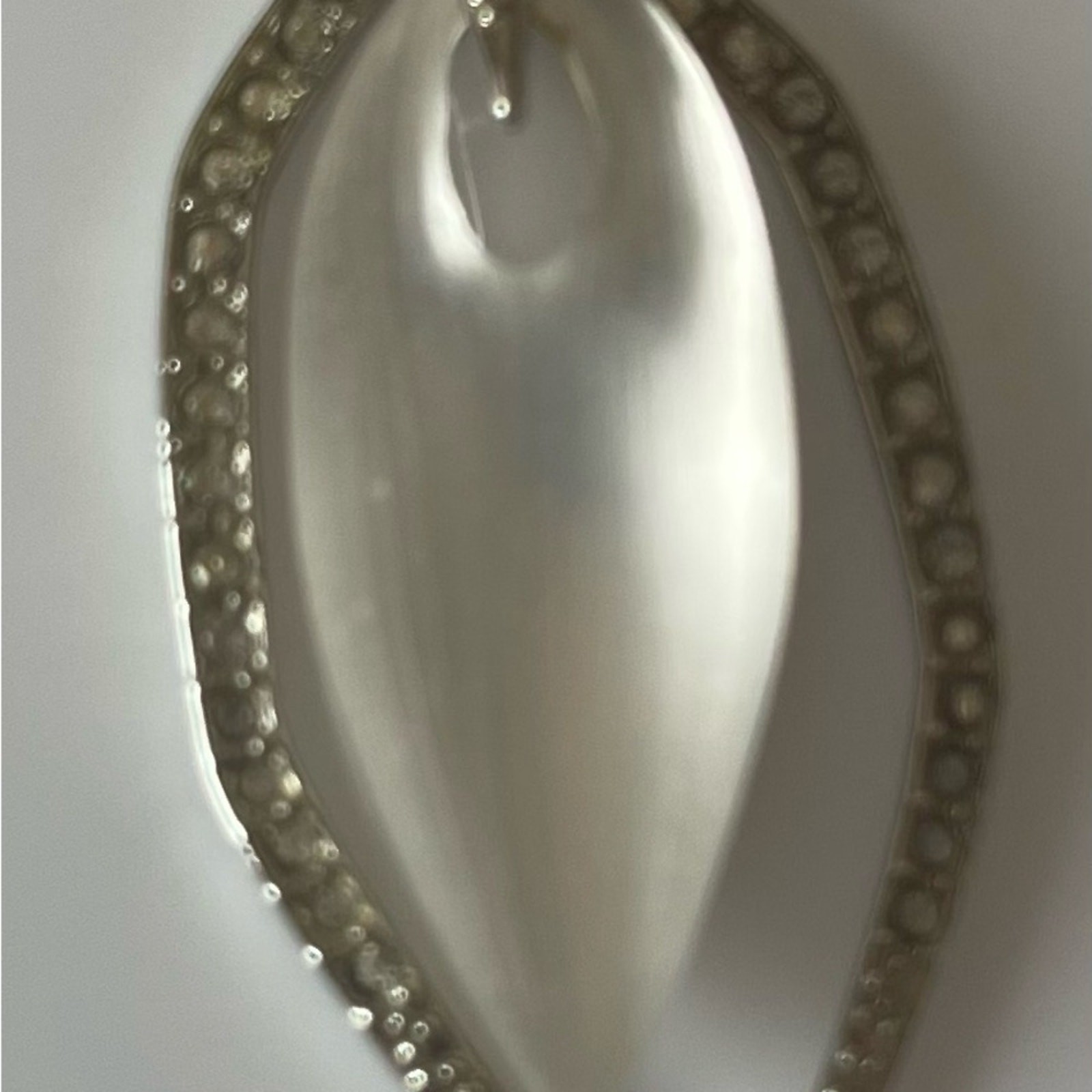 Alexis Bittar “Lucite” and Crystal Drop Earrings. Silver-Tone Metal Drop.