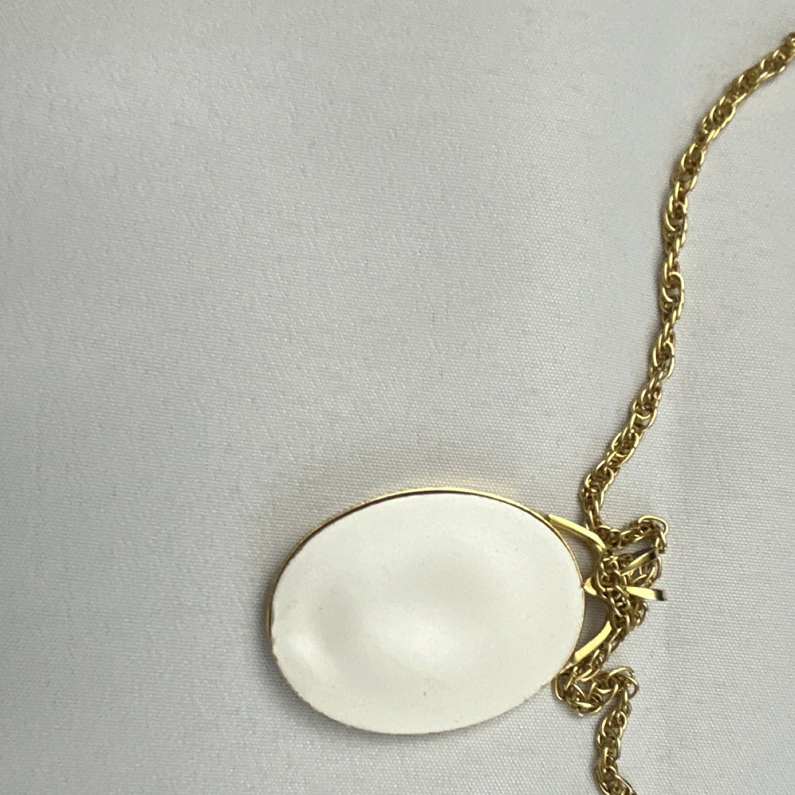 Gold Tone Rope Chain Necklace Oval Floral Enamel Charm Pendant, No Stone