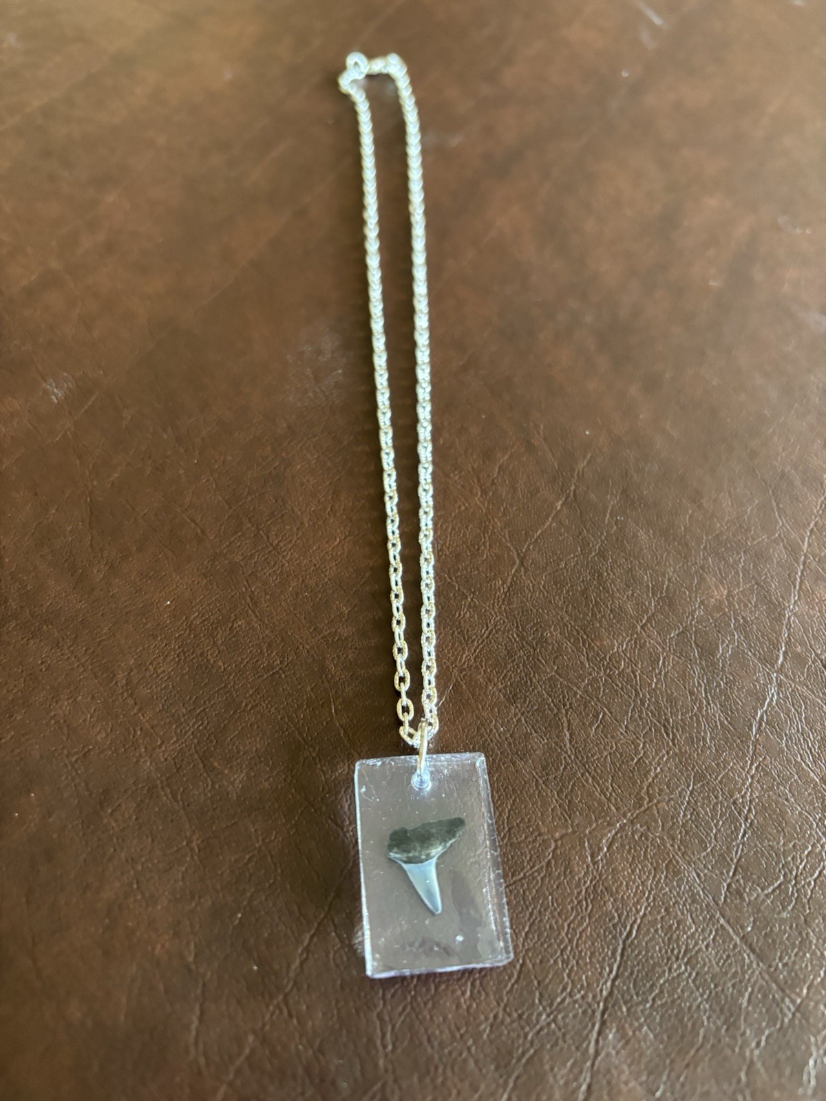 Genuine Shark’s Tooth in Resin on an 18” Silver-plated Chain. Now 40% Off!
