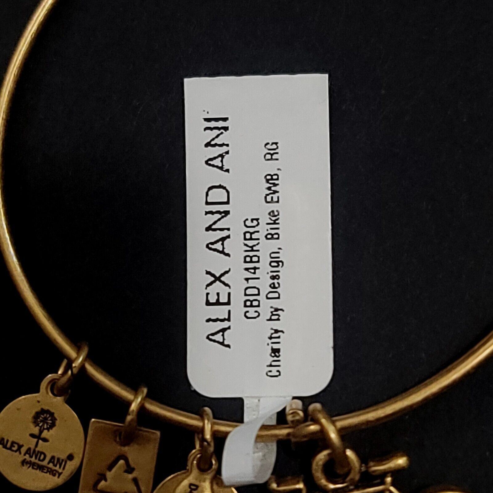 Alex and Ani Bike Charm Bracelet Charity By Design Bicycle