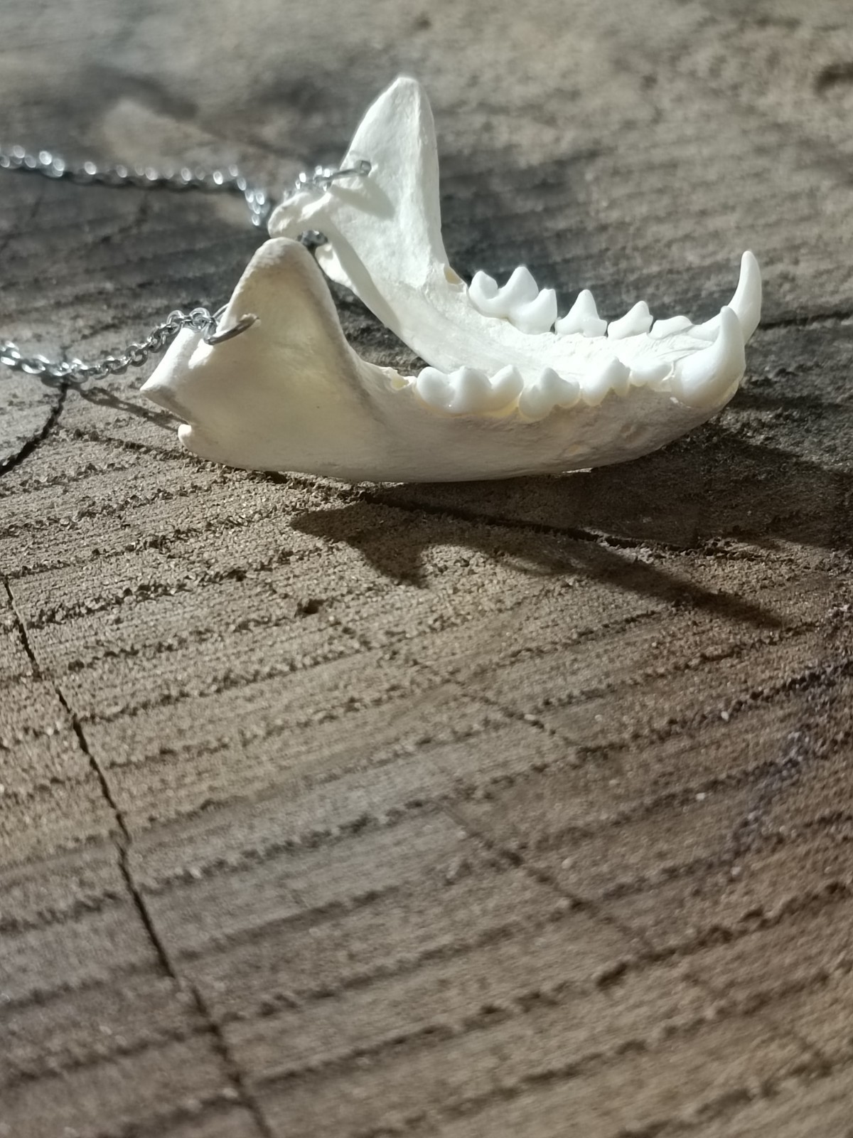bone necklace. gothic necklace. unique fat necklace. mink jaw necklace.