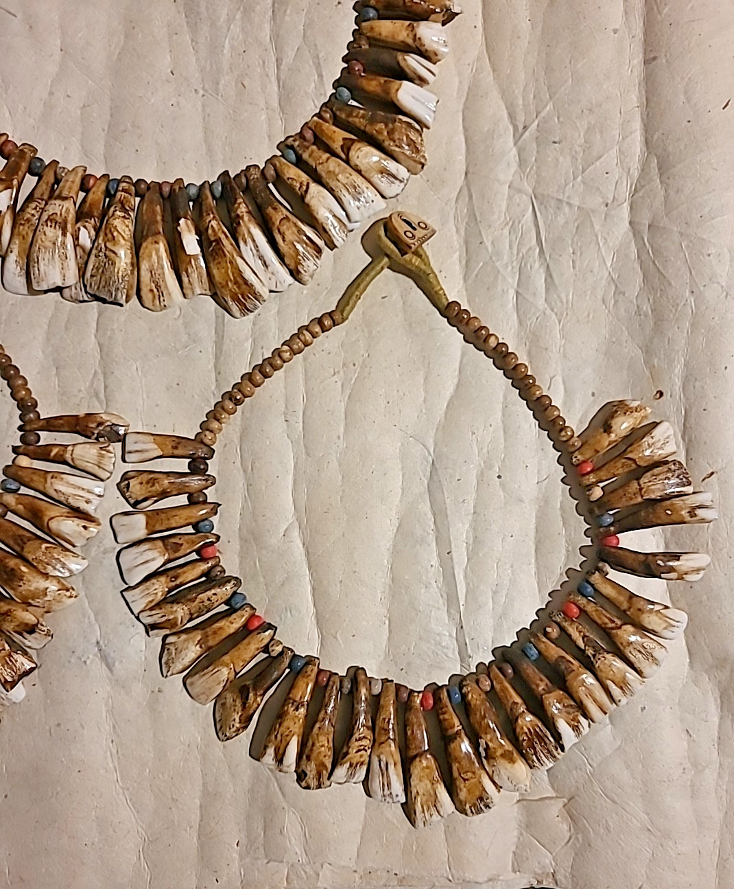 Buffalo Tooth Necklaces: 3 Pieces