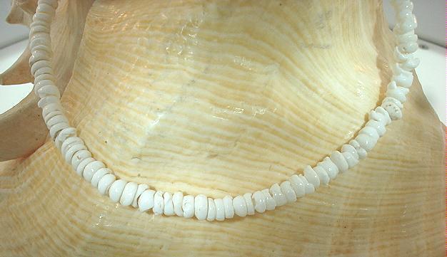 3.5mm-4.5mm Natural Baby White Virgin Cone Hawaiian Puka Shell Bracelet 7.75″