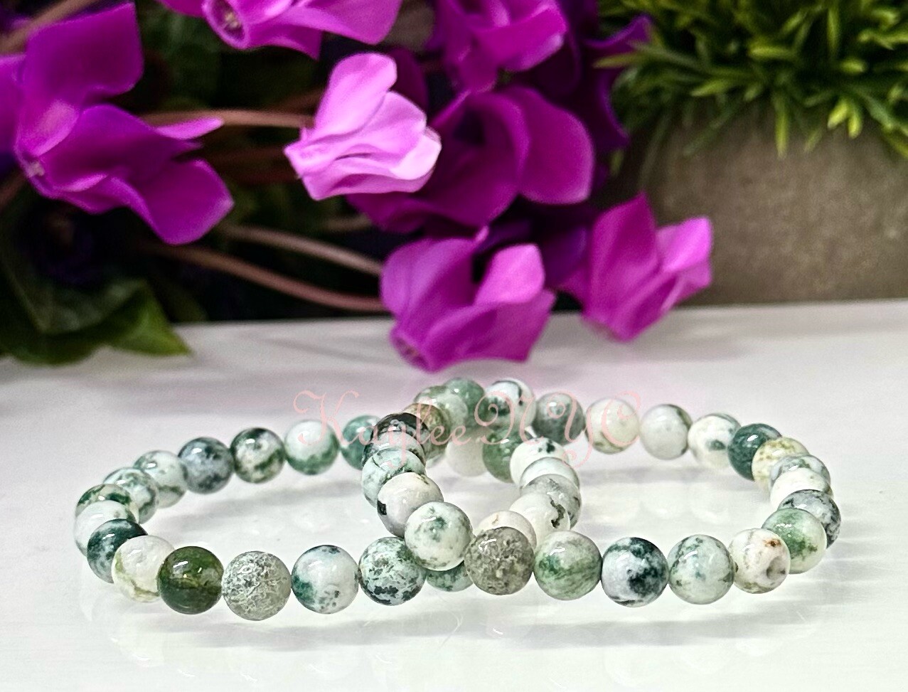 Wholesale Lot 6 Pcs Natural Tree Agate 8mm 7.5” Crystal Healing Stretch Bracelet