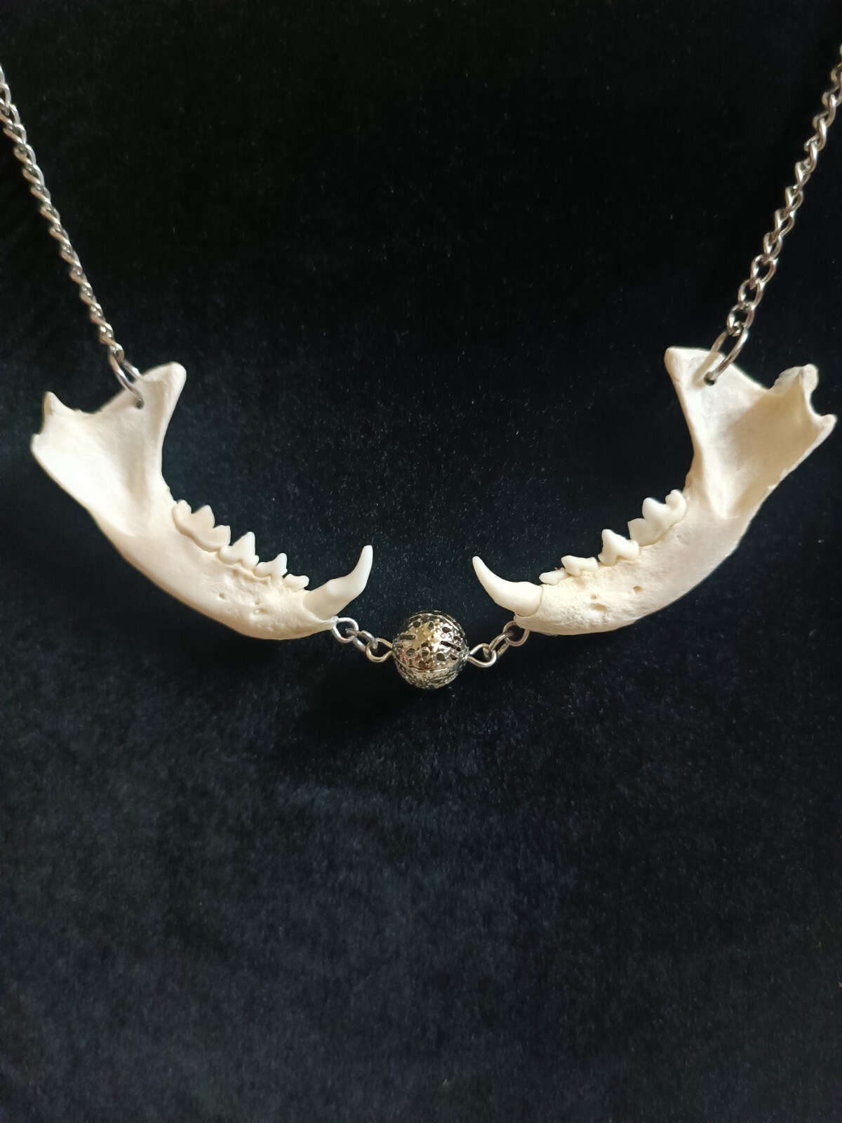 bone necklace. gothic necklace. unique fat necklace. mink jaw necklace.