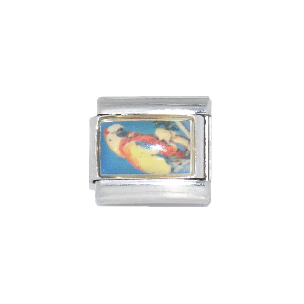 Parrot photo Italian charm – fits 9mm classic Italian charm bracelets