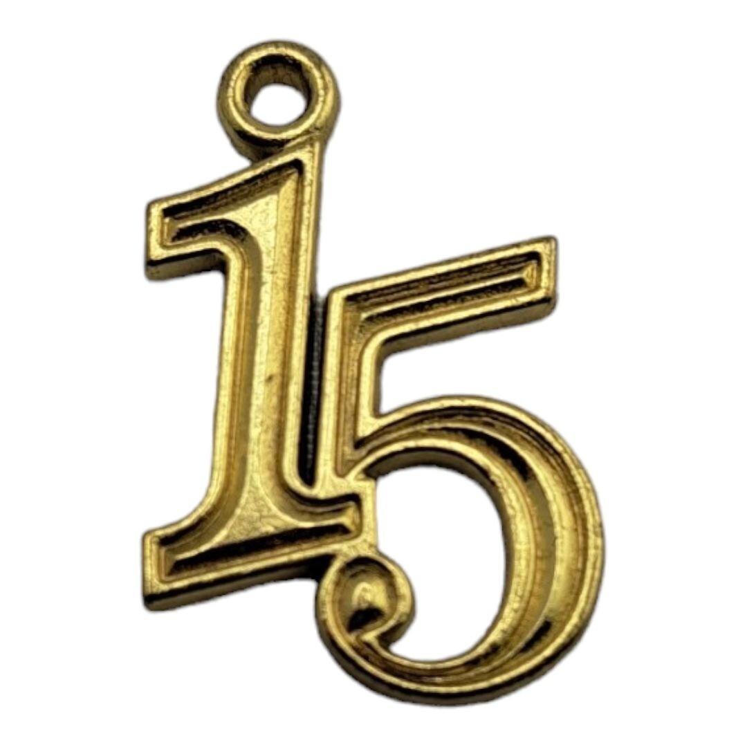 Graduation Tassel Pendant Golden Charm 2014 Jostens Grad, Celebration, Reunion