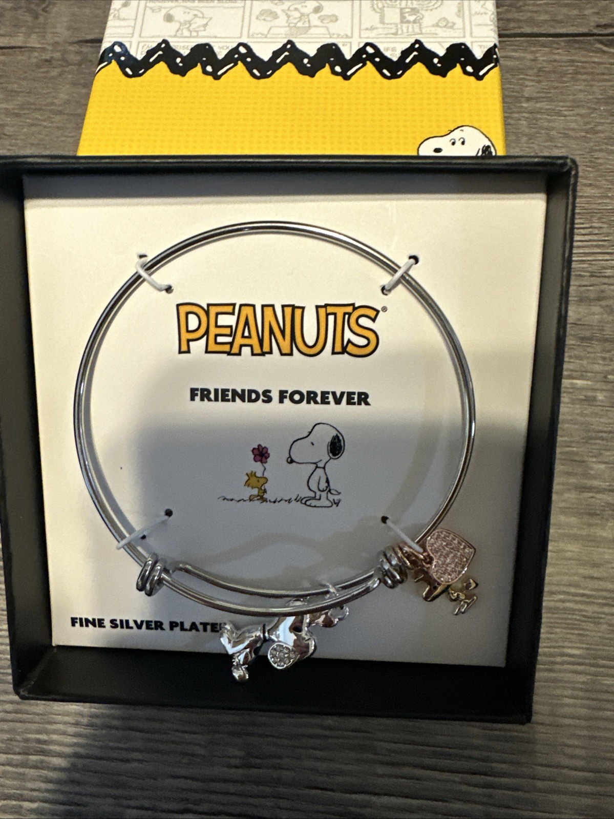 Woodstock & Snoopy Silver Plated Friends Forever Bracelet Bangle Peanuts New