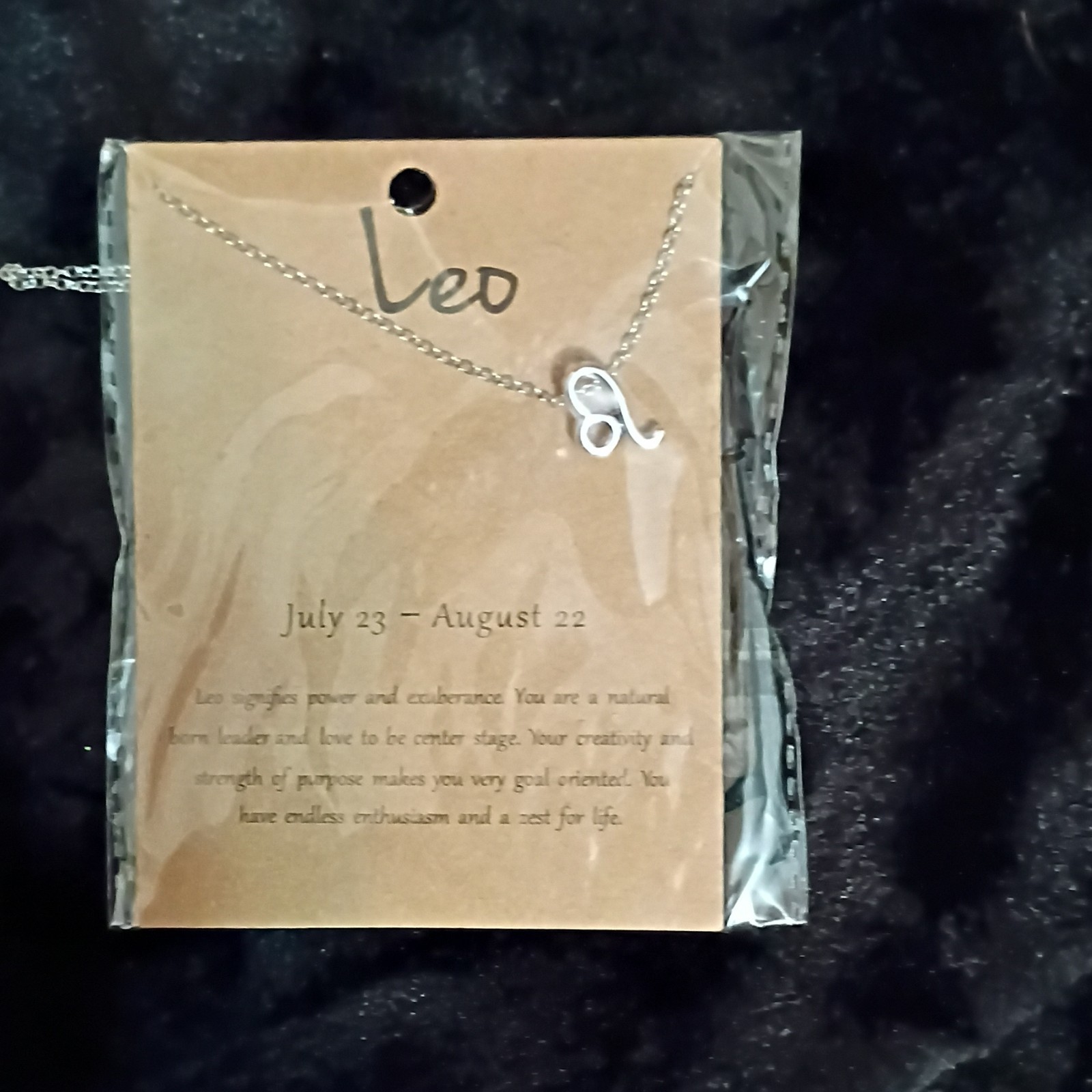 Leo Zodiac Letter Charm Pendant Necklace Silver Tone Metal Cable Chain