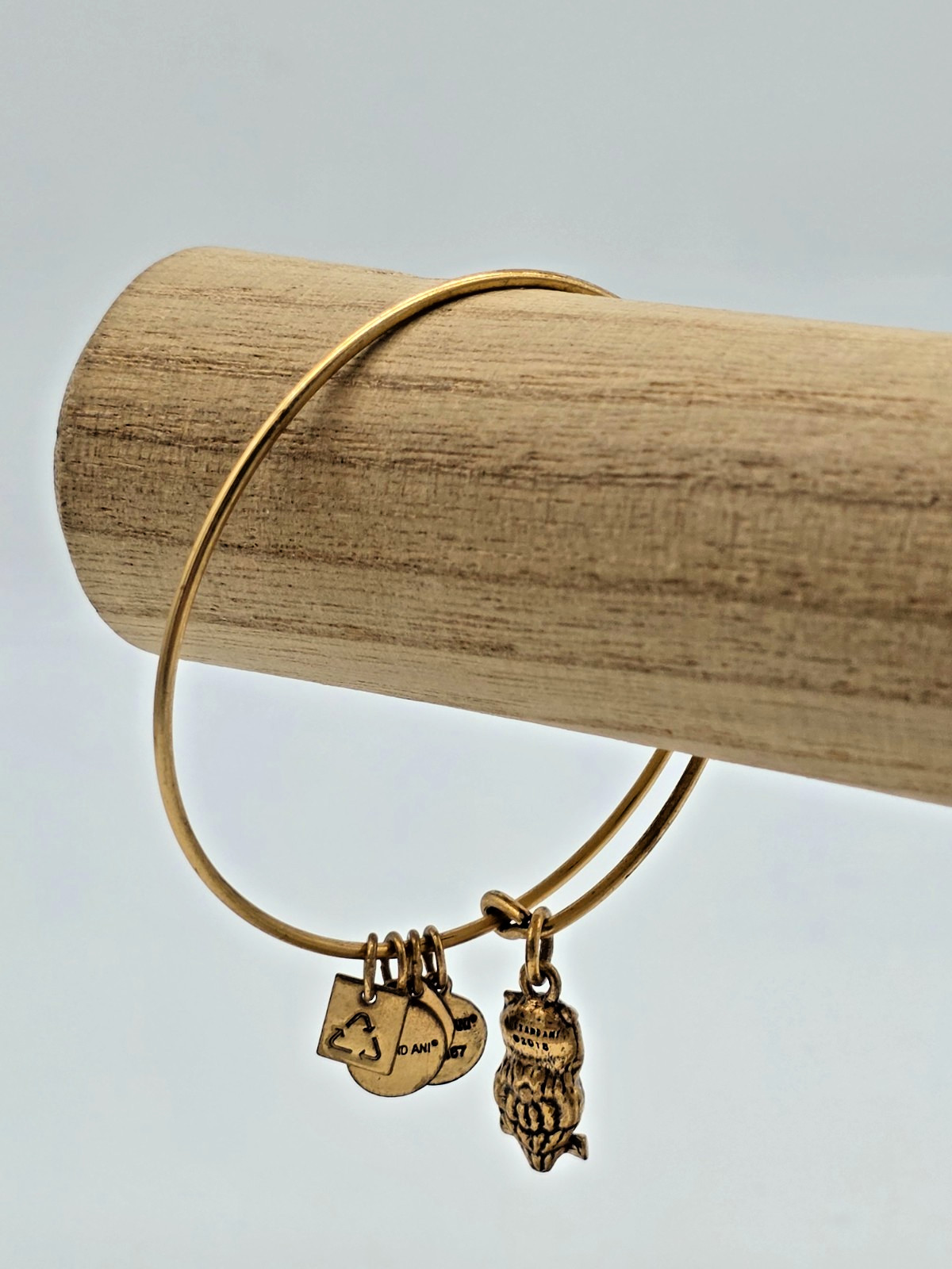 Alex and Ani OWL Charity by Design Rafaelian Gold Bangle Bracelet Expandable