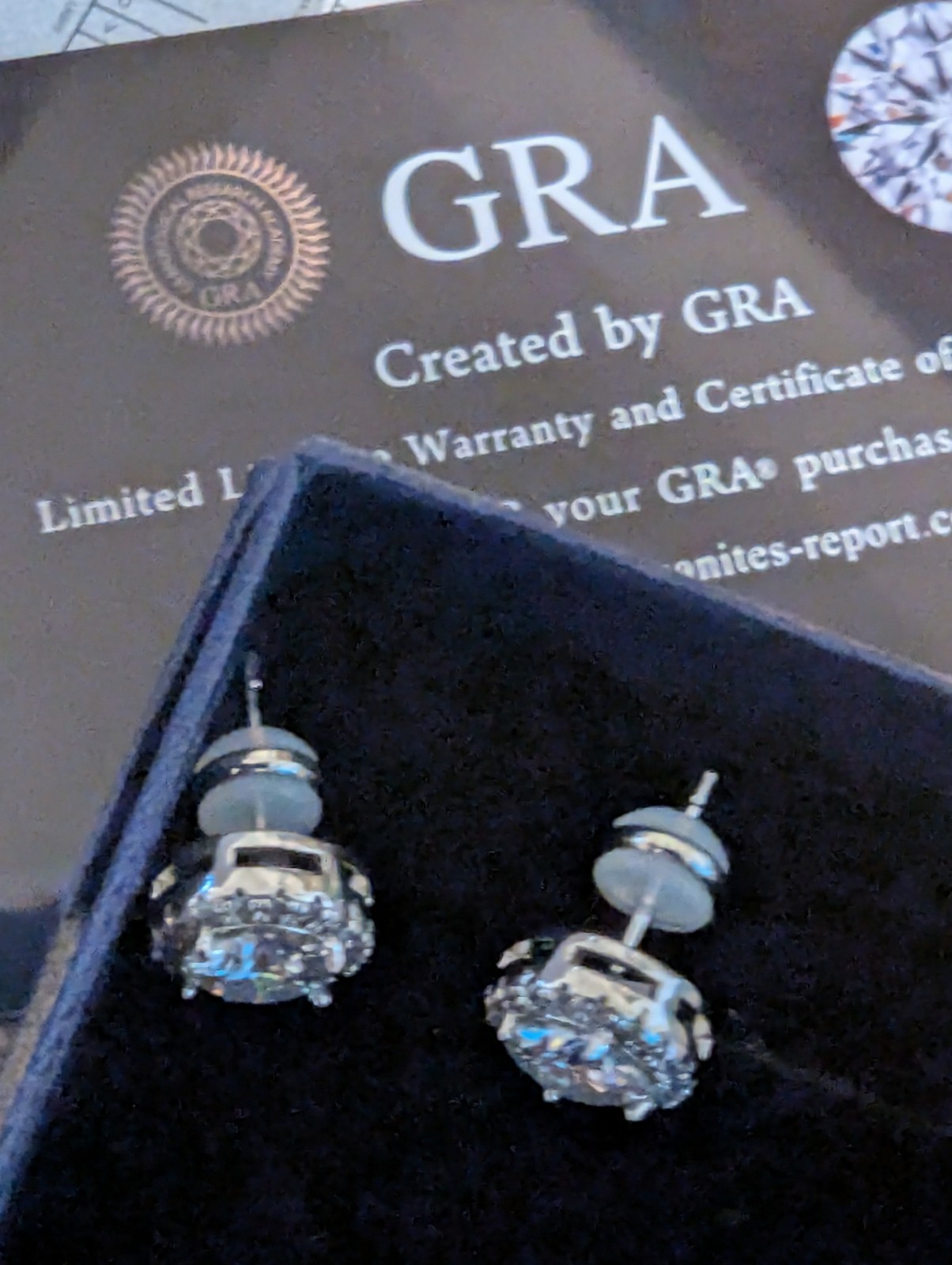 GRA Round Halo Crystal Stud Earrings Silver Tone White/Colorless Butterfly