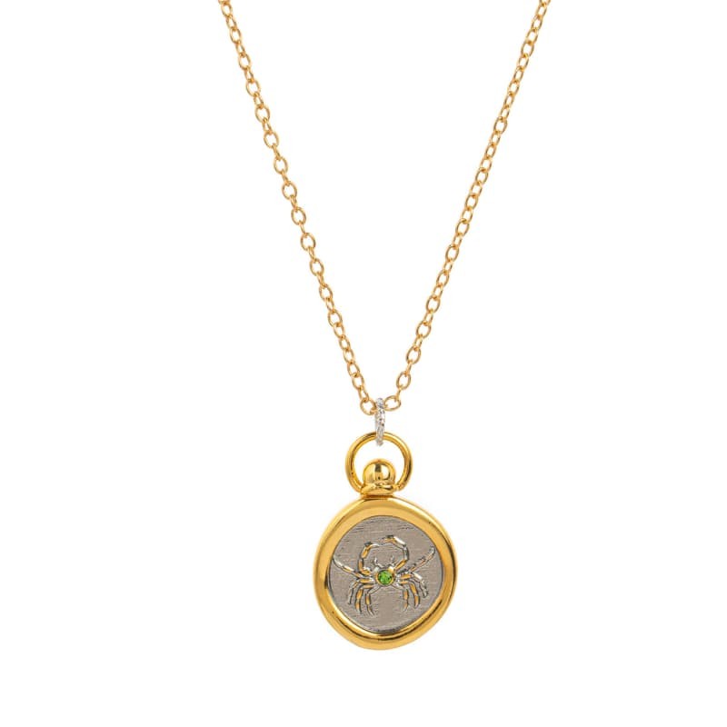 12 Zodiac Sign Constellation Charm Pendant Astrology Necklace Round Circle Chain