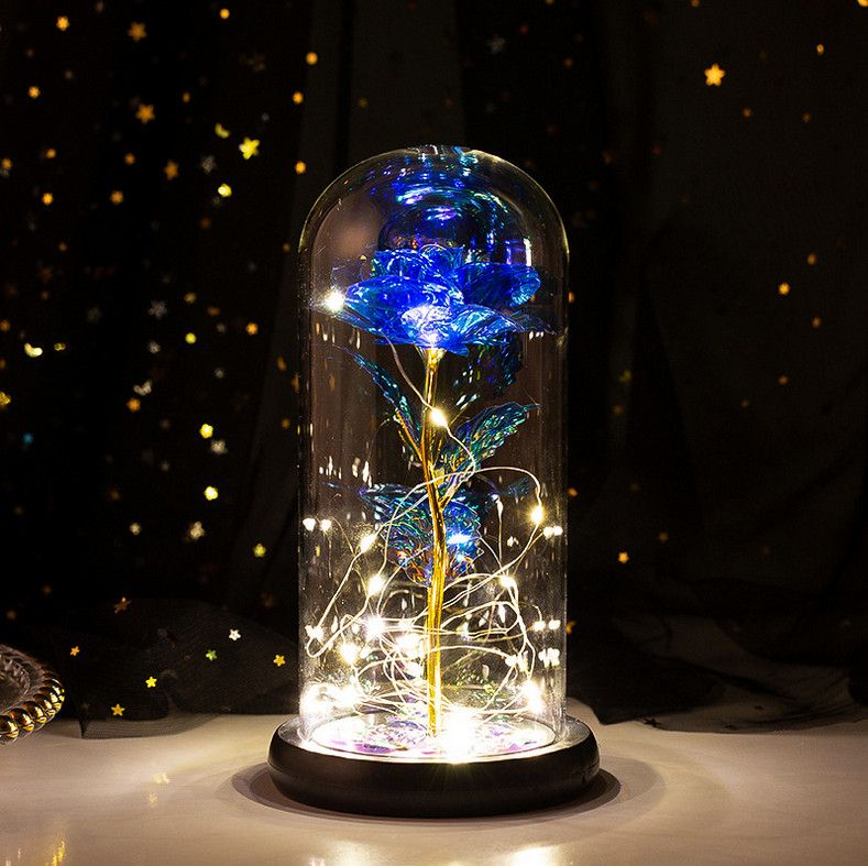 LED Rose Gifts for Women Flowers Rose in Glass Dome Birthday Valentines Day Gift