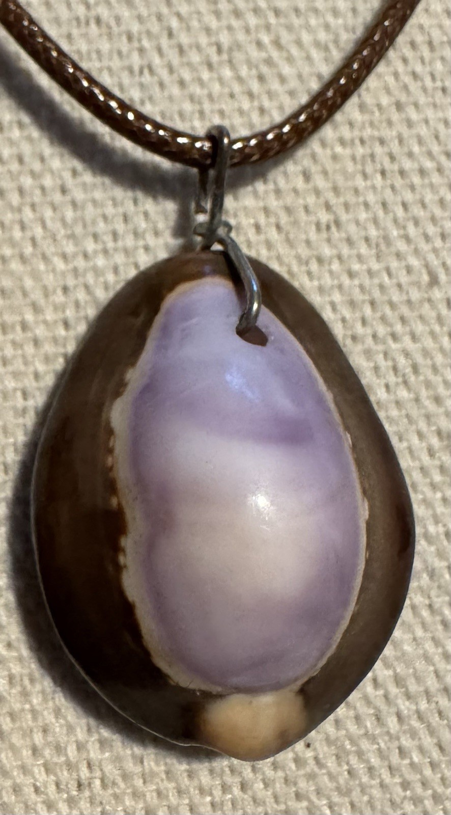 Unique Purple & Brown Cowrie Shell Pendant On Cord Necklace By 927 Designs
