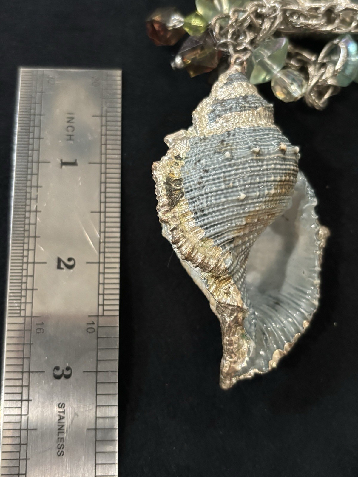 Coastal Shell Charm Necklace Silver Tone Beach Boho Statement 30” Blue Green