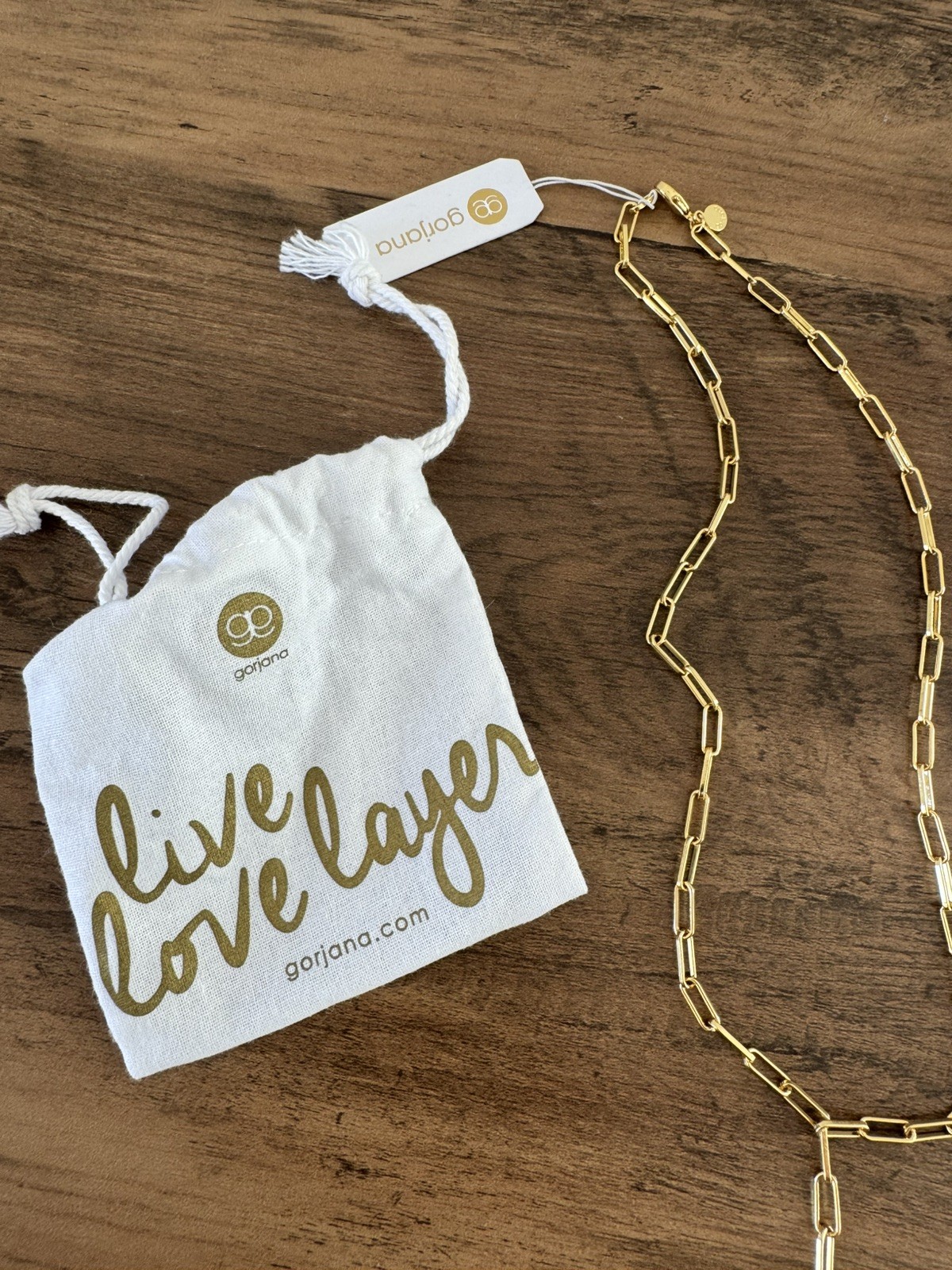 Gorjana Gold Paperclip Chain Coin Medallion Y Necklace Lariat NWT Dust Bag