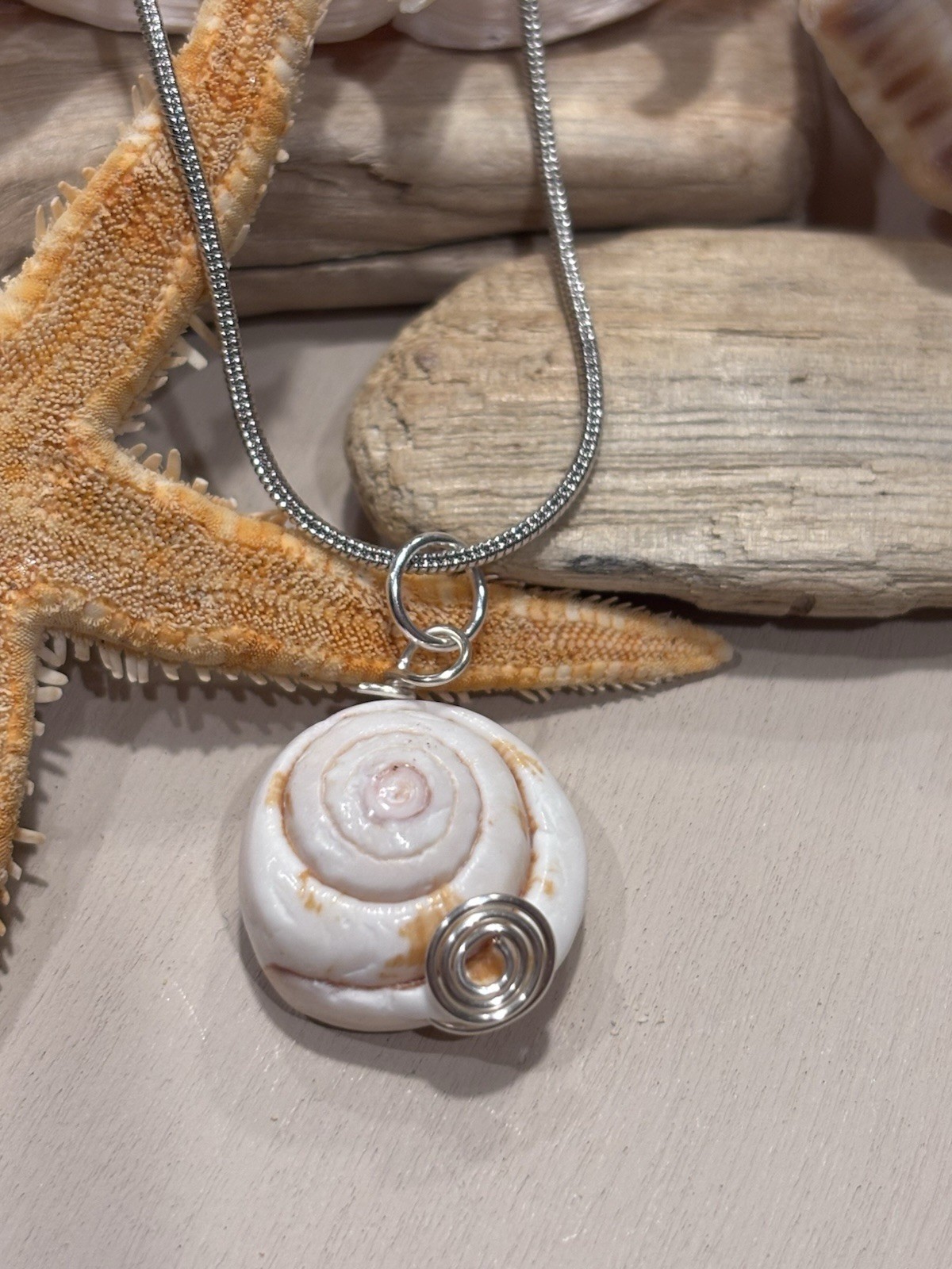 Shiva Eye Shell Featuring White and Tan Spiral Pendant on Sterling Silver Chain