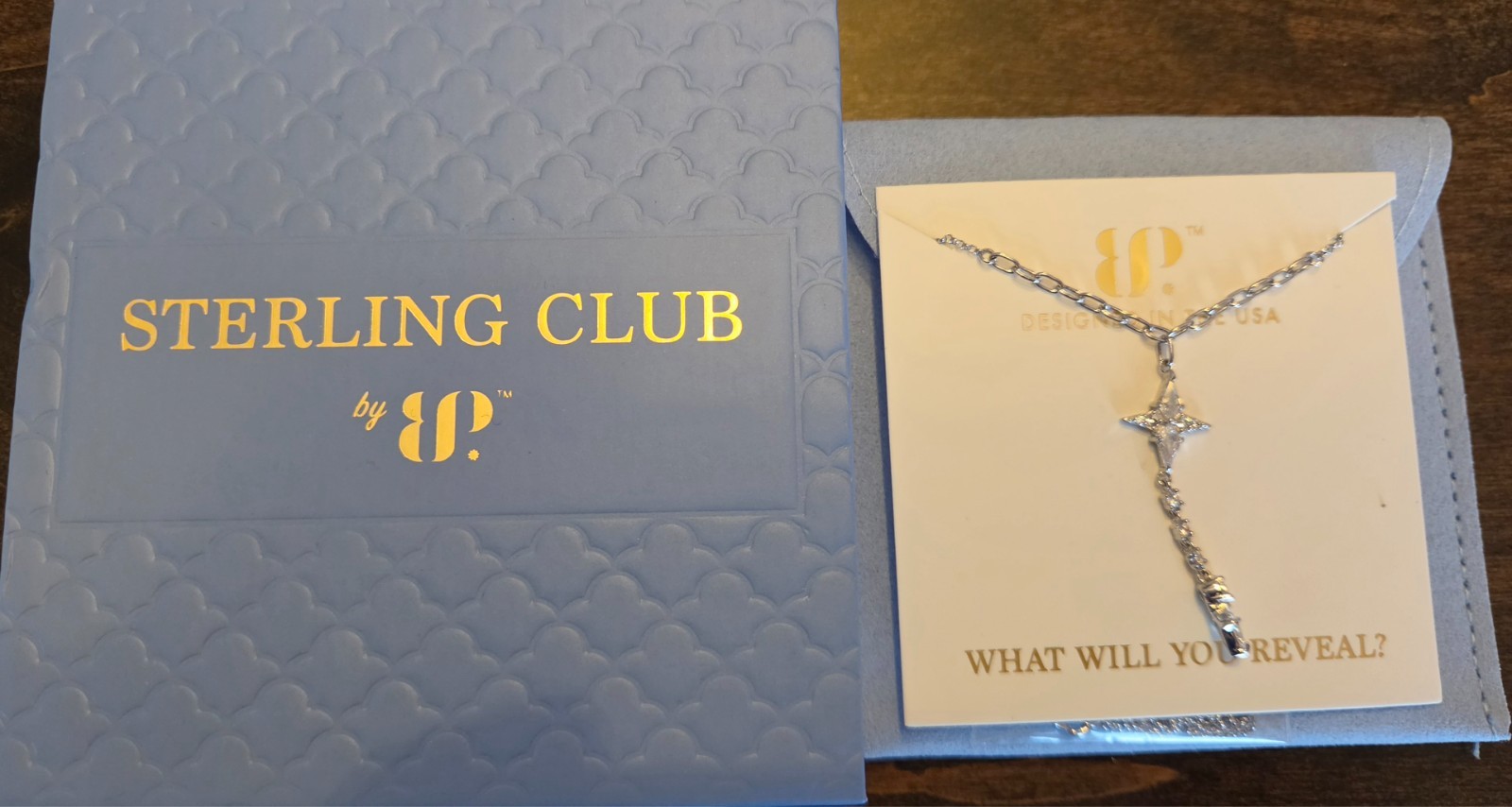 Bomb Party NK27704S “Brilliant With Bite” Sterling Club Necklace