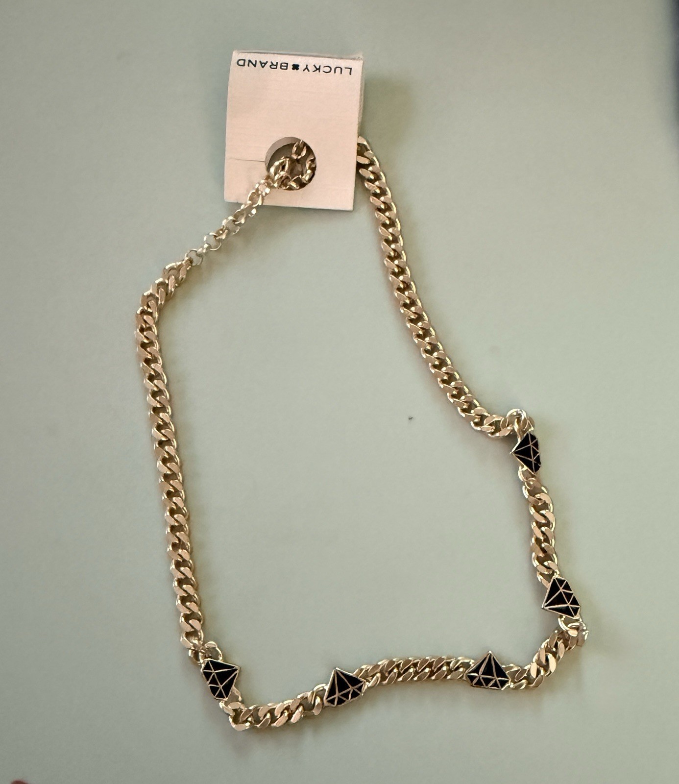 Lucky Brand Silver Tone Curb Link Chain Necklace with Black Accents
