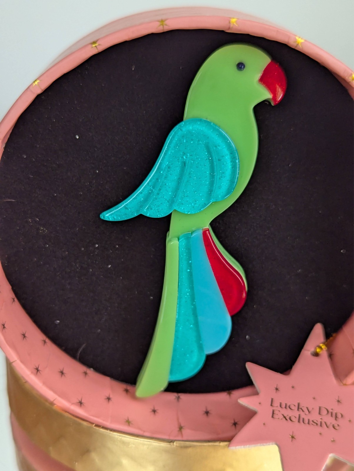 Erstwilder Chiquita Parrot Resin Brooch NWT LD Exclusive 2025
