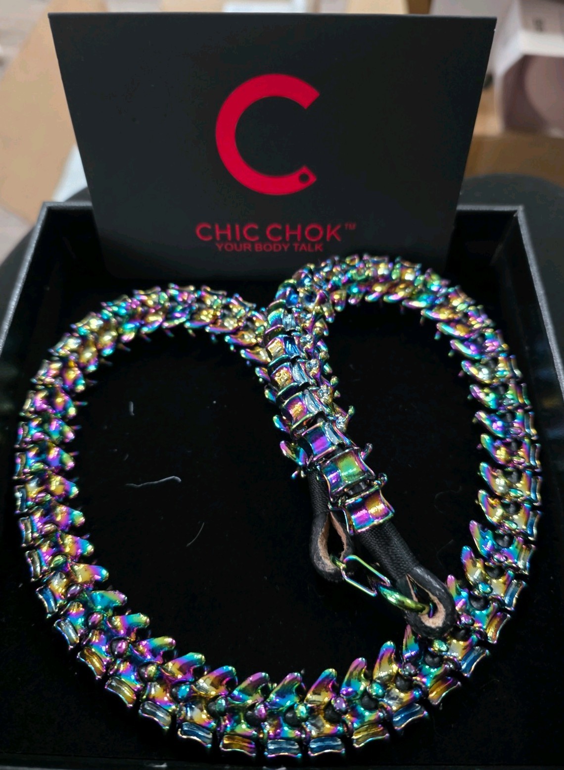 CHIC CHOK Multicolor Dragon Bone Choker – Chain Necklace Fashion Jewelry 20″ NEW