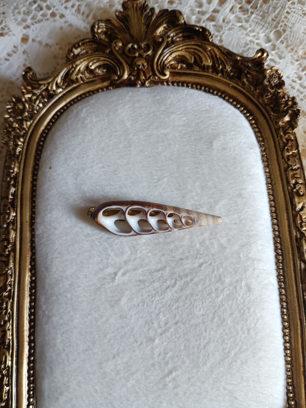 vintage Gold Tone Leaf Brooch Pin Shell Openwork Inlay White Brown Metal