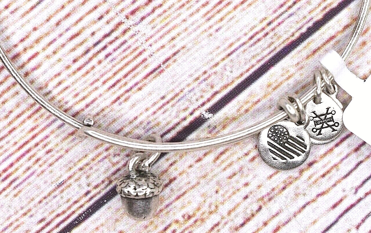 NEW NWT Alex and Ani Unexpected Blessings Acorn Charm Silver Bracelet