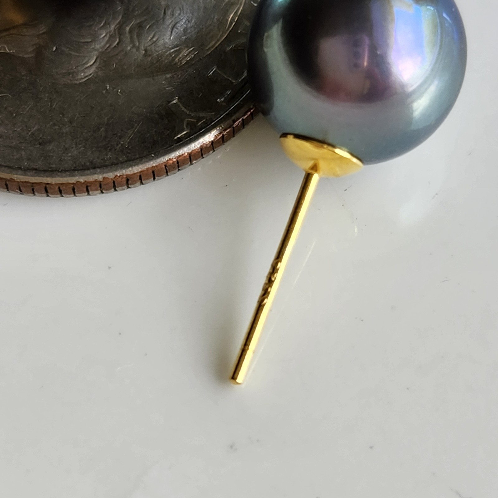 Sea Shell Akoya Gray Color 10mm Pearl Stud Earrings 925 Silver 14k Gold-Plated