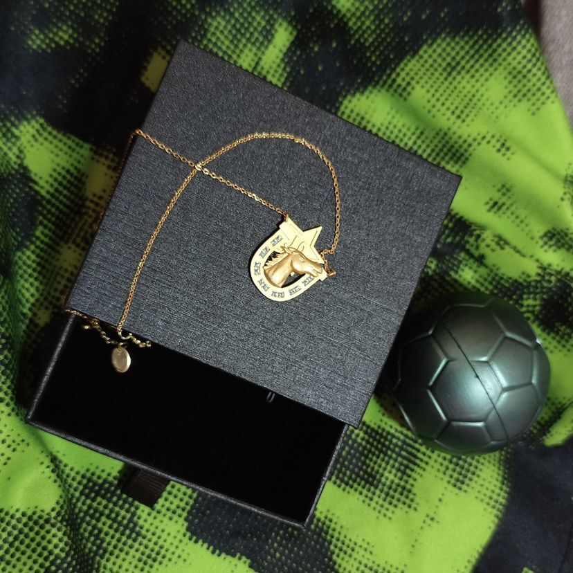 JOJO STEEL BALL RUN Joe Kid Cosplay Metal Pendant Necklace Jewelry