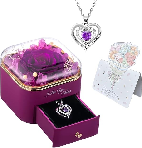 Women Gifts Ideas for Valentines Day, Preserved Forever Rose Gift with Necklace*