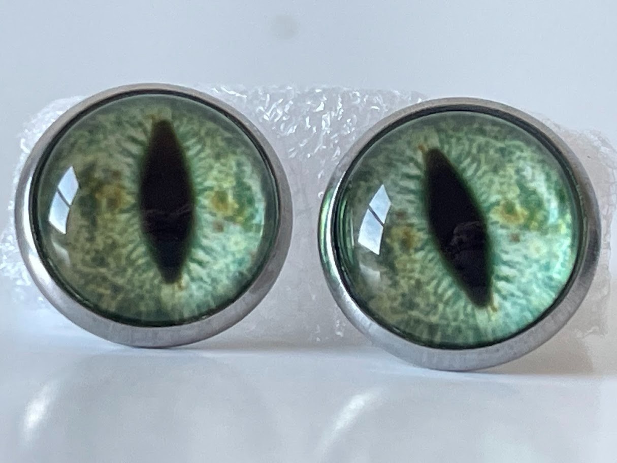 Lizard Eye Stud Earrings Just For Fun Green & Black Vintage Style, Unique Animal