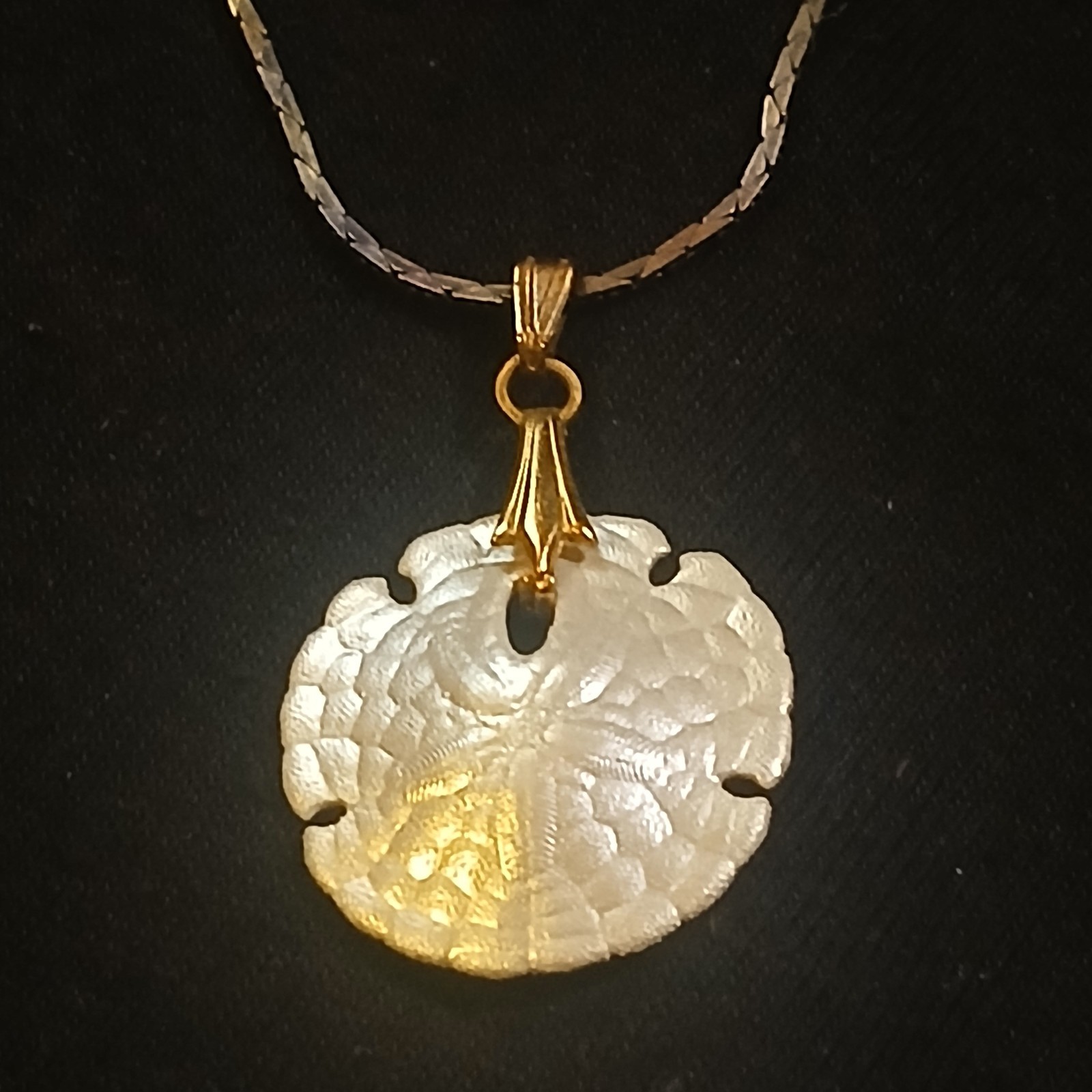 Real Sand Dollar Vintage Charm Necklace Gold Tone Metal Chain