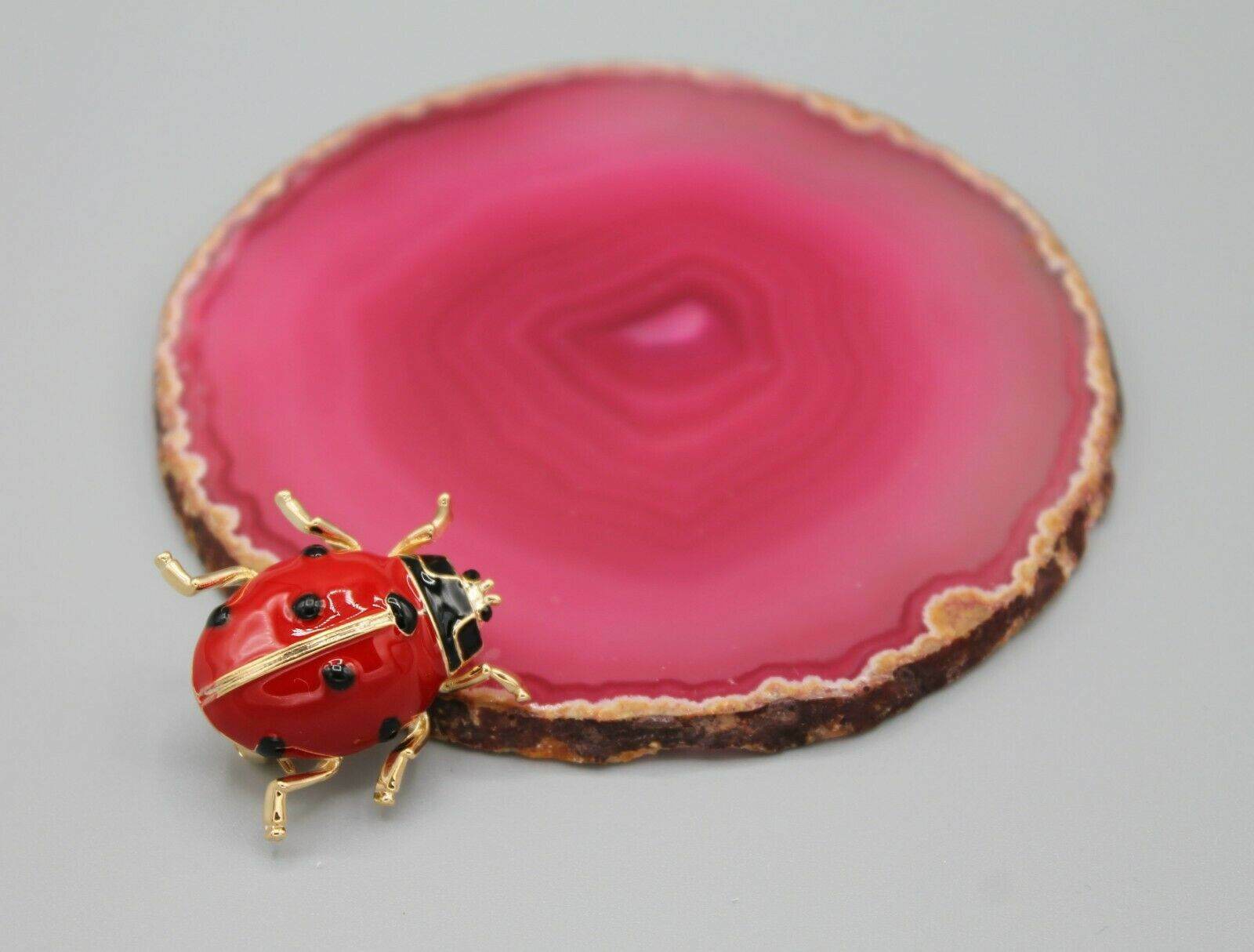 Ladybug luck lucky red black yellow gold tone cute adorable pin brooch