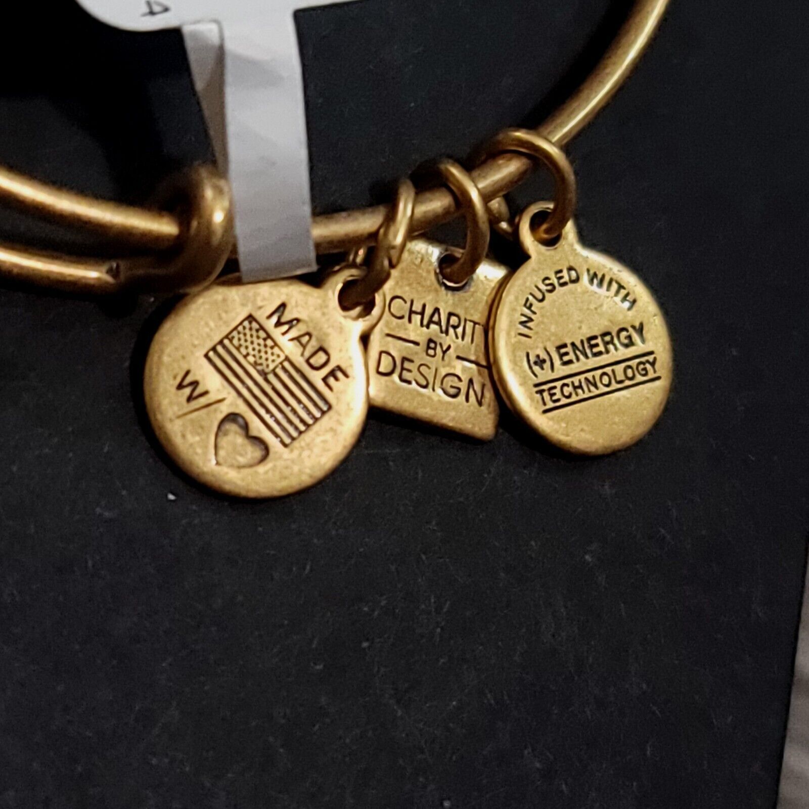 Alex and Ani Bike Charm Bracelet Charity By Design Bicycle