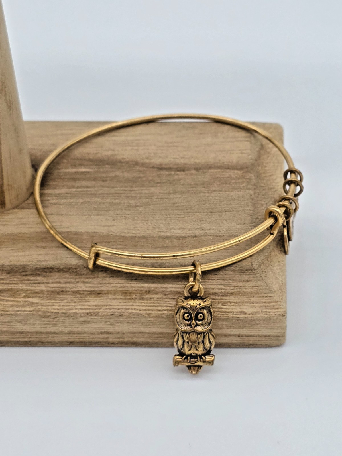 Alex and Ani OWL Charity by Design Rafaelian Gold Bangle Bracelet Expandable
