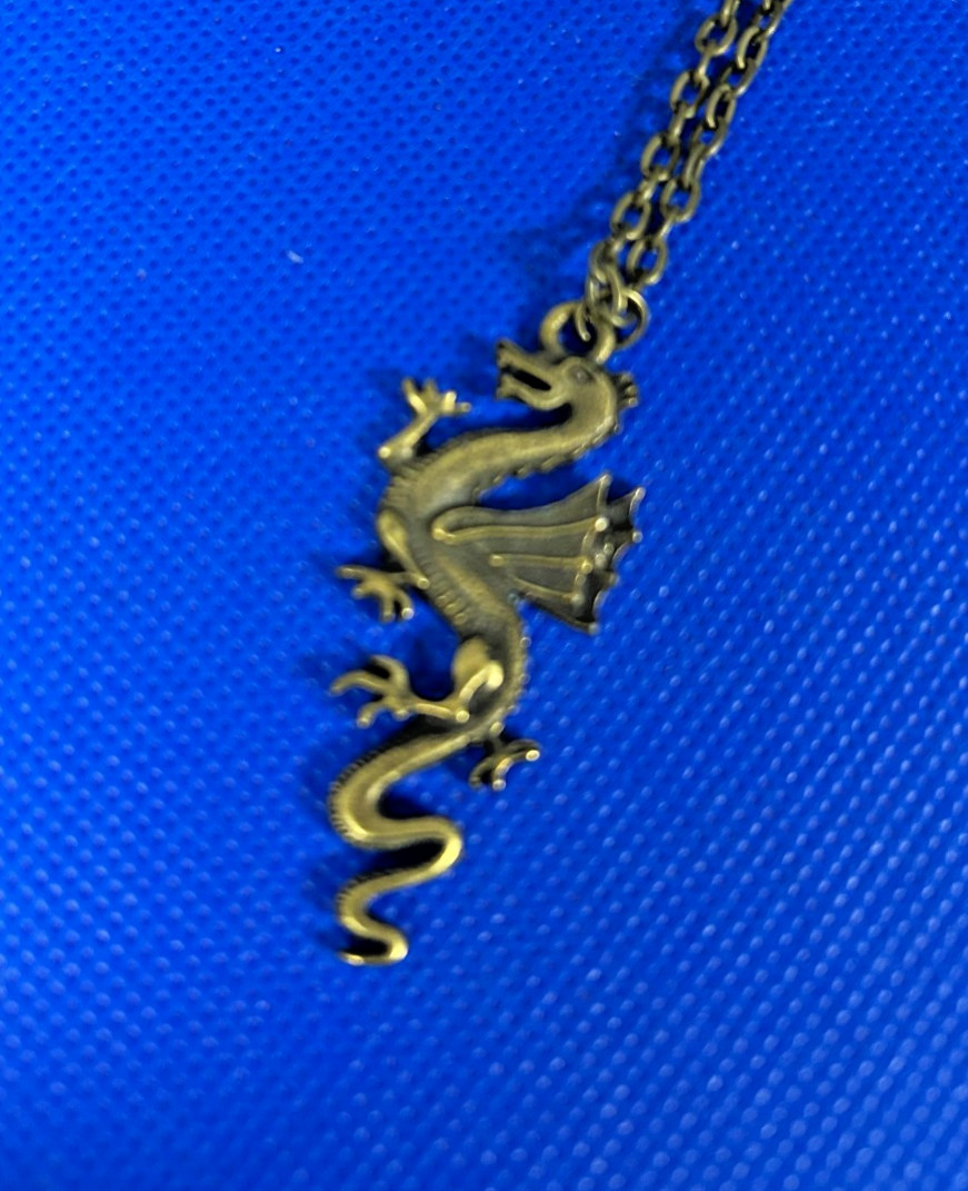 Dragon Pendant and chain