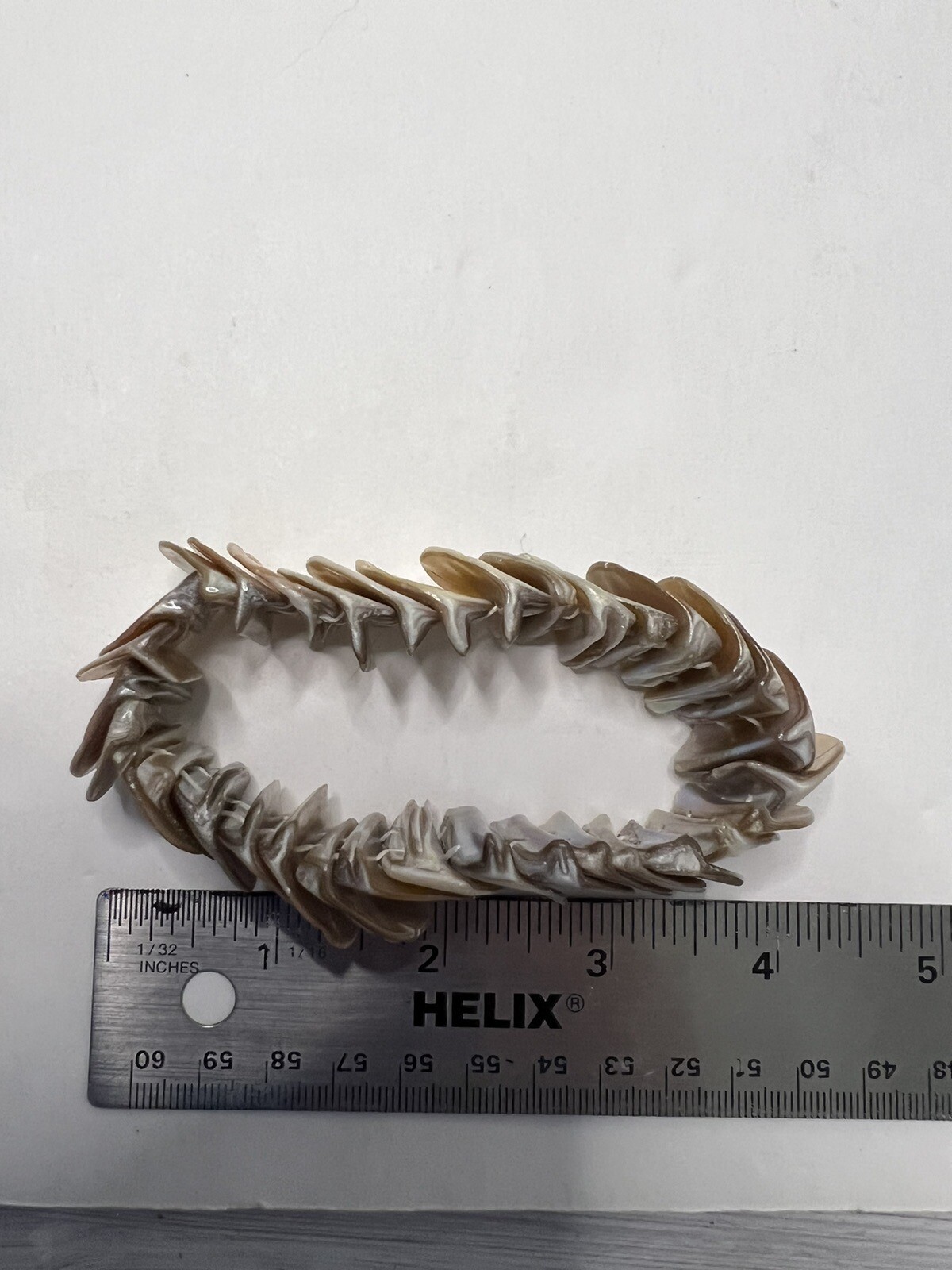 Earth Tones Real Shell Bracelet Stretch Layered Disc Costume Jewelry Boho Beach