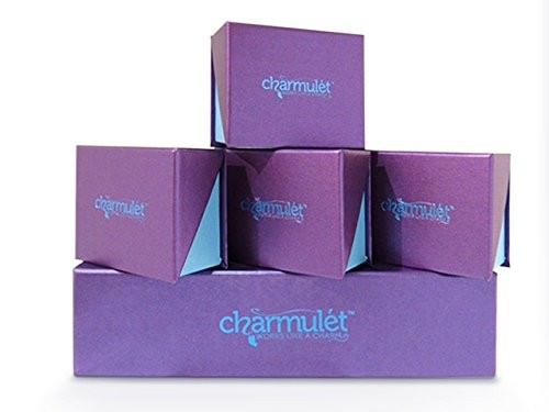 New Original Charmulet 14K Gold Tone Interchangeable Charm Fashion Bracelet