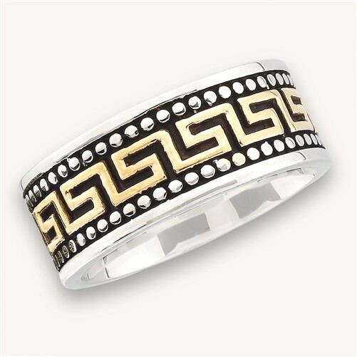 Stainless Steel Band Ring With Greek Gold IP Accents – Free Gift Packaging