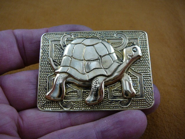 (b-tur-222) Galapagos Turtle little turtles love rectangle brass pin pendant