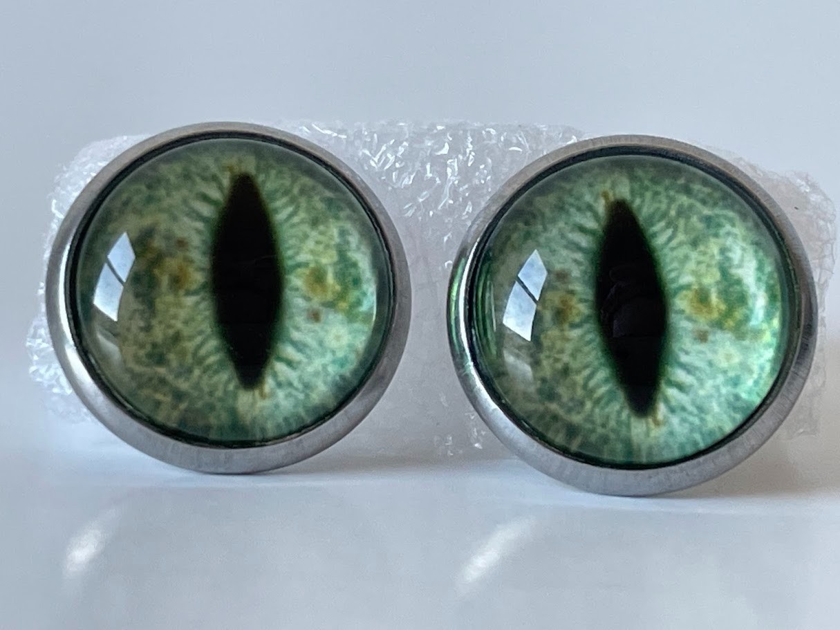 Lizard Eye Stud Earrings Just For Fun Green & Black Vintage Style, Unique Animal